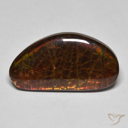 8.23ct 天然 彩色 菊石, 花式切割, 不透明