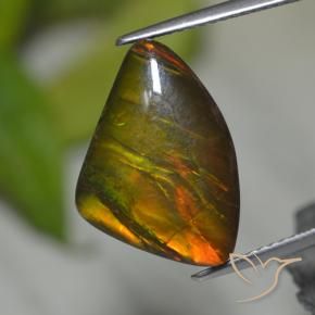 8.39克拉天然菊石，花式切割，不透明