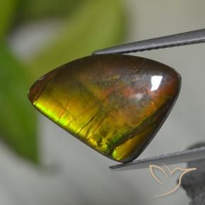 8.39克拉天然菊石，花式切割，不透明