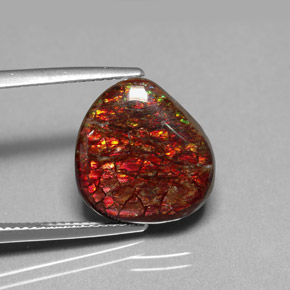 8.47克拉天然菊石，异形，不透明