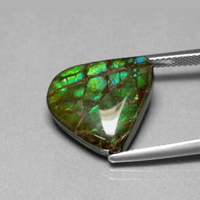 8.69克拉天然多色菊石宝石，异形，15.8×14.3毫米，不透明