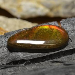 8.95克拉天然多色菊石宝石，梨形，22.4×10.9毫米，不透明