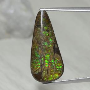 9.02克拉天然多色菊石宝石，梨形，23.3×10.8毫米，不透明