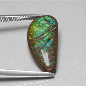 9.39克拉天然多色菊石宝石，异形，21.7×10.7毫米，不透明