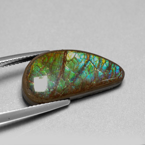 9.39克拉天然多色菊石宝石，异形，21.7×10.7毫米，不透明