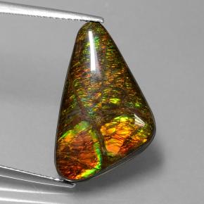 9.50克拉天然多色菊石宝石，异形，22.1×13.6毫米，不透明