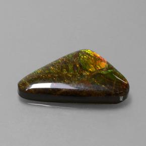 9.50克拉天然多色菊石宝石，异形，22.1×13.6毫米，不透明