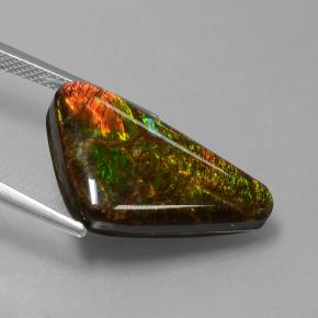 9.50克拉天然多色菊石宝石，异形，22.1×13.6毫米，不透明