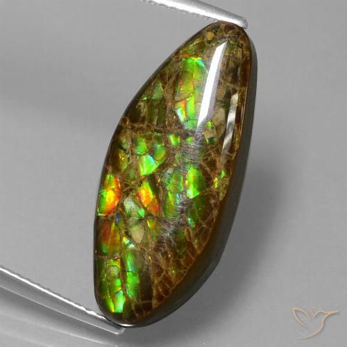9.86ct 天然 彩色 菊石, 花式切割, 不透明