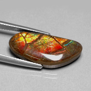 9.95克拉天然菊石，异形，不透明