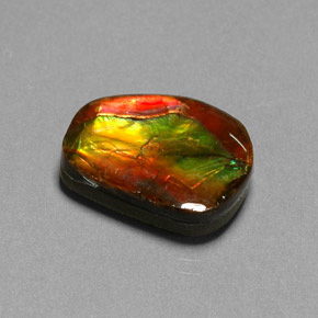 10.55克拉天然多色菊石宝石，异形，17.6×13.2毫米，不透明