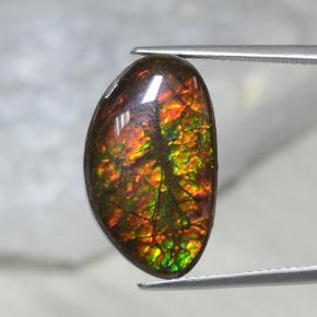 10.69克拉天然多色菊石宝石，异形，20×12.1毫米，不透明