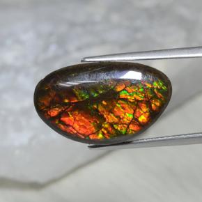 10.69克拉天然多色菊石宝石，异形，20×12.1毫米，不透明