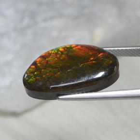 10.69克拉天然多色菊石宝石，异形，20×12.1毫米，不透明