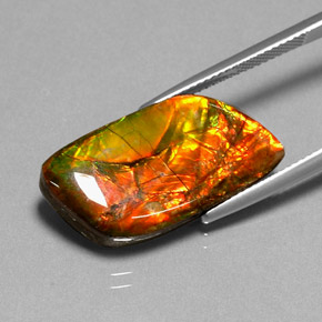 11.92克拉天然多色菊石宝石，异形，25.8×12.9毫米，不透明