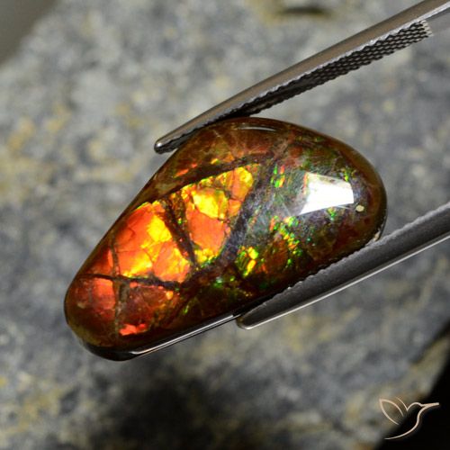11.96ct 天然 彩色 菊石, 花式切割, 不透明