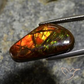 11.96克拉天然菊石，花式切割，不透明
