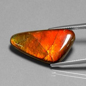 12.20克拉天然菊石，异形，不透明