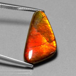 12.20克拉天然菊石，异形，不透明