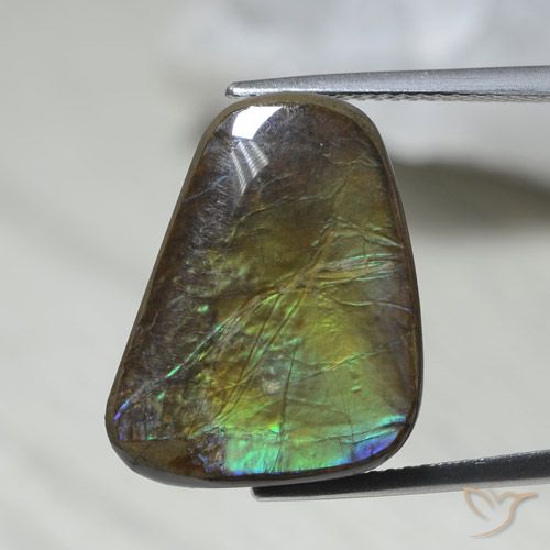 12.08ct 天然 彩色 菊石, 花式切割, 不透明