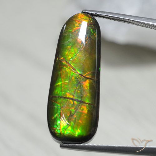 13.66ct 天然 彩色 菊石, 花式切割, 不透明