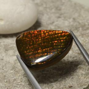 14.29克拉天然多色菊石宝石，异形，21.5×17.3毫米，不透明