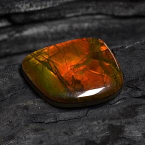 15.89克拉天然多色菊石宝石，异形，21.1×17.4毫米，不透明