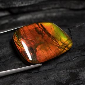 15.89克拉天然多色菊石宝石，异形，21.1×17.4毫米，不透明