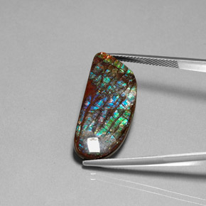 16.86克拉天然菊石宝石，异形，不透明