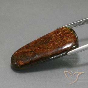 21.40克拉天然菊石，花式切割，不透明