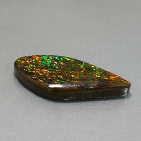 19.86克拉天然多色菊石宝石，异形，34.2×15.2毫米，不透明