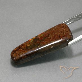 18.38克拉天然菊石，花式切割，不透明