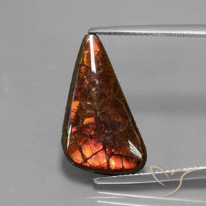 8.81克拉天然多色菊石宝石，异形，21.9×11.8毫米，不透明