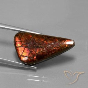 8.81克拉天然多色菊石宝石，异形，21.9×11.8毫米，不透明