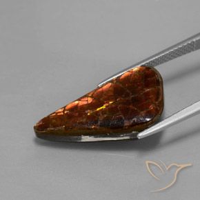 8.81克拉天然多色菊石宝石，异形，21.9×11.8毫米，不透明