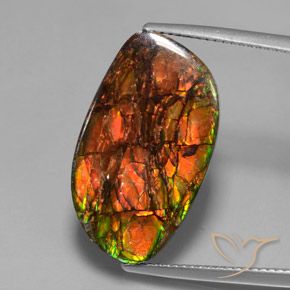 13.27ct 天然 彩色 菊石, 花式切割, 不透明