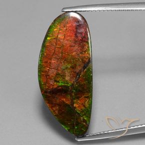 12.10ct 天然 彩色 菊石, 花式切割, 不透明