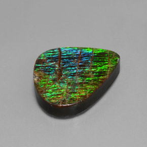 12.97克拉天然多色菊石宝石，异形，20.7×16.2毫米，不透明