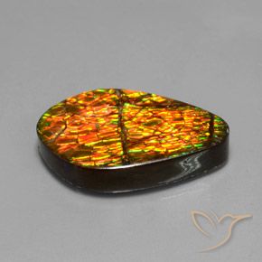 14.79克拉天然菊石，花式切割，不透明