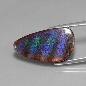 15.59克拉天然菊石，异形，不透明