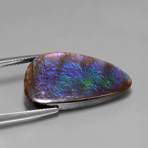 15.59克拉天然菊石，异形，不透明