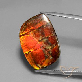 17.18ct 天然 彩色 菊石, 花式切割, 不透明