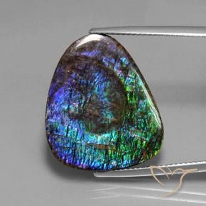 18.37ct 天然 彩色 菊石, 花式切割, 不透明
