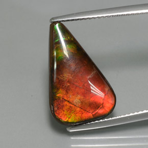 7.72克拉天然多色菊石宝石，异形，19.4×12.3毫米，不透明