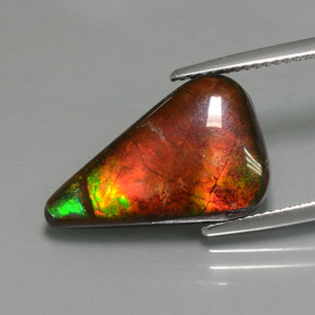7.72克拉天然多色菊石宝石，异形，19.4×12.3毫米，不透明