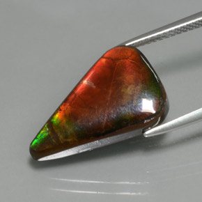 7.72克拉天然多色菊石宝石，异形，19.4×12.3毫米，不透明
