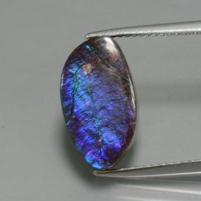 4.88克拉天然菊石，异形，不透明