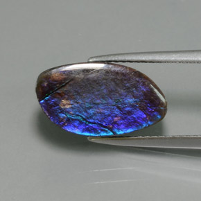 4.88克拉天然菊石，异形，不透明