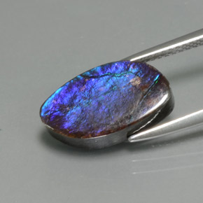 4.88克拉天然菊石，异形，不透明