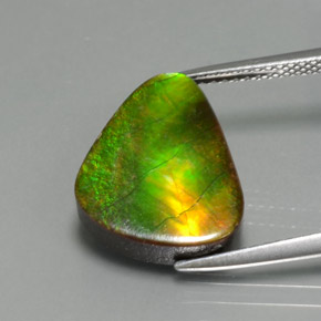 6.81克拉天然多色菊石宝石，异形，15×12.6毫米，不透明